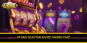 Vì sao Scatter được mong chờ